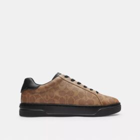 Zapatillas altas en Signature Canvas