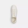Zapatillas altas en Signature Canvas