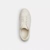 Zapatillas altas en Signature Canvas