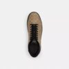 Zapatillas altas High Line en Signature Canvas