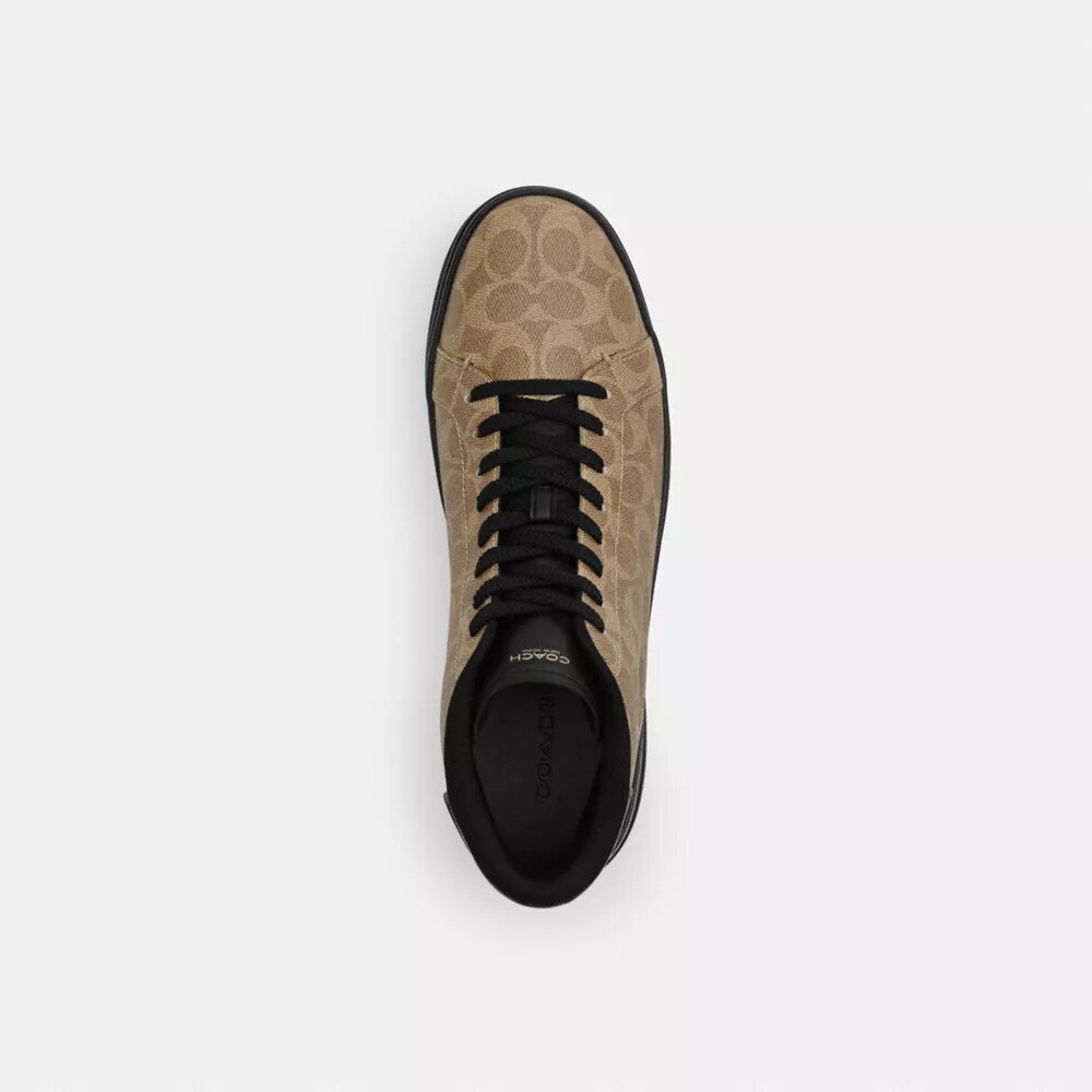Zapatillas altas High Line en Signature Canvas