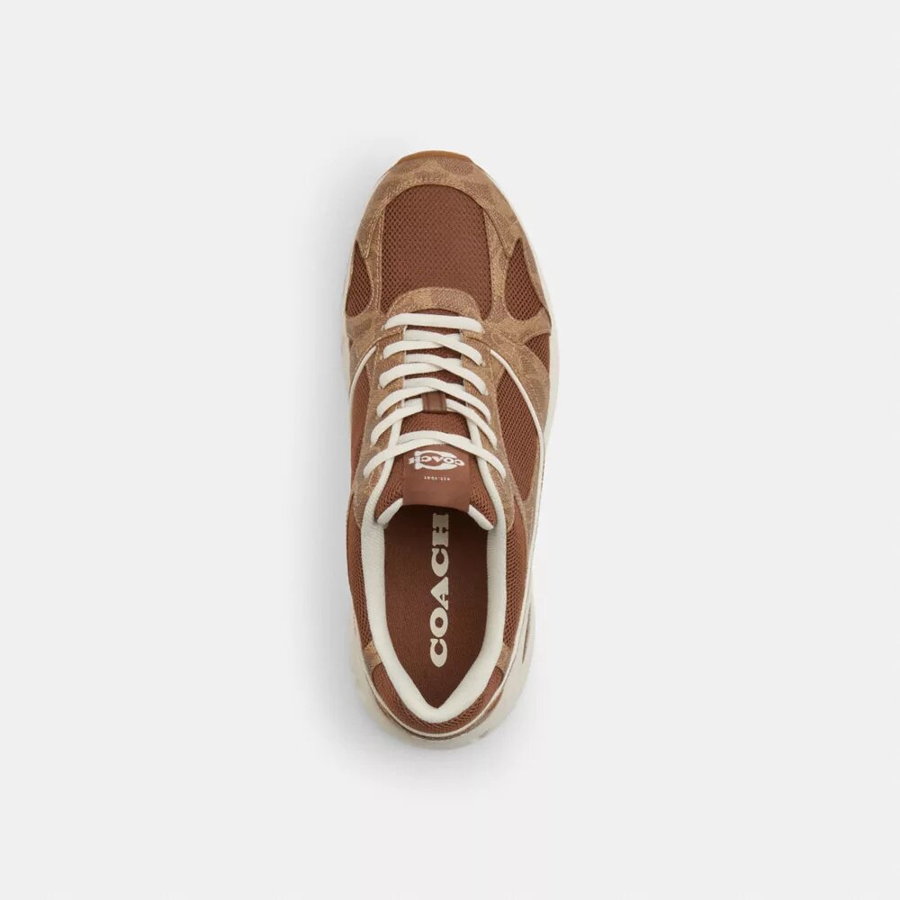 Zapatillas deportivas en Signature Canvas