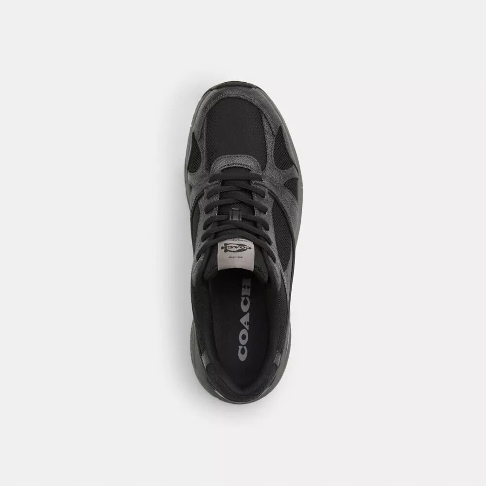 Zapatillas deportivas en Signature Canvas