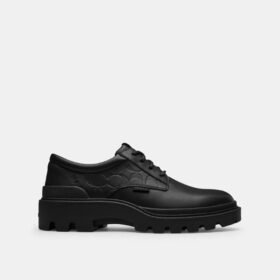 Zapatos Derby Cameron en cuero exclusivo